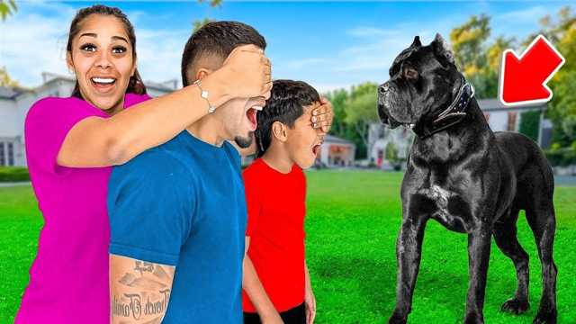 Kids Video: What we expect a puppy to look like