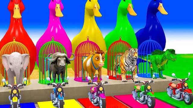 Toy video: Learn colors with fun  animals
